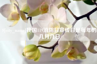 景德镇我国119消防日宣传日是每年的几月几日