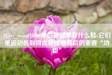 景德镇5000米世界冠军穿什么鞋-它们是运动员取得优异成绩背后的重要“功臣”