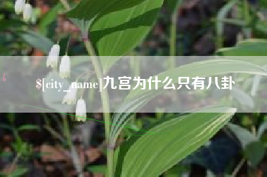 景德镇九宫为什么只有八卦