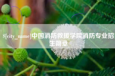 景德镇中国消防救援学院消防专业招生简章