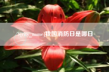景德镇我国消防日是哪日