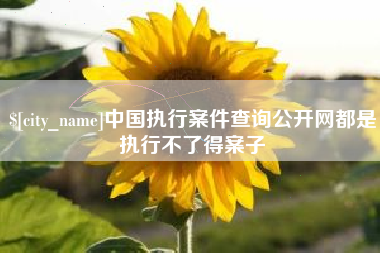 景德镇中国执行案件查询公开网都是执行不了得案子