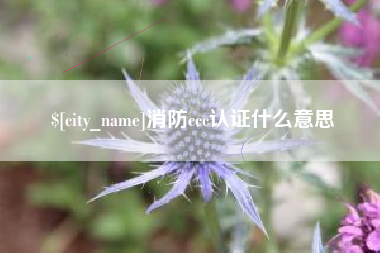 景德镇消防ccc认证什么意思