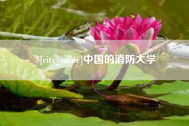 景德镇中国的消防大学