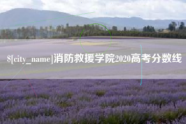 景德镇消防救援学院2020高考分数线
