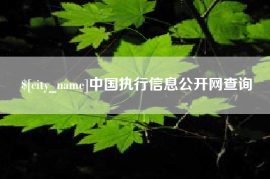 景德镇中国执行信息公开网查询