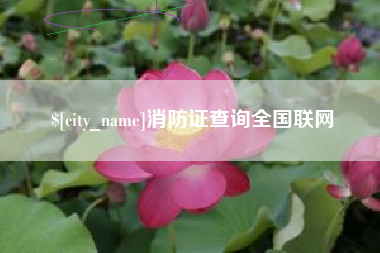 景德镇消防证查询全国联网