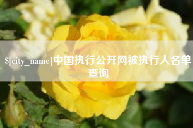景德镇中国执行公开网被执行人名单查询