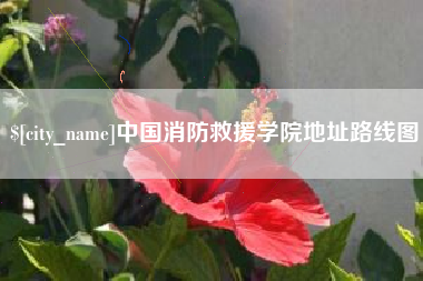 景德镇中国消防救援学院地址路线图
