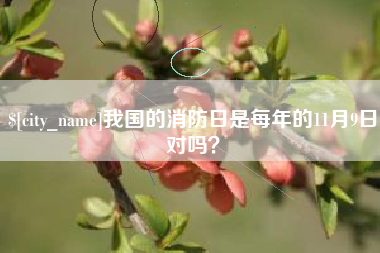 景德镇我国的消防日是每年的11月9日对吗？