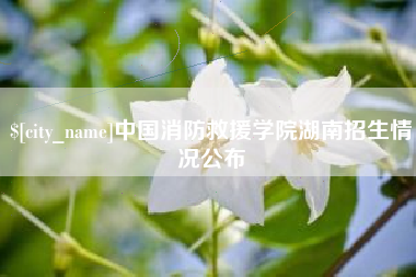 景德镇中国消防救援学院湖南招生情况公布