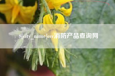 景德镇ccc消防产品查询网