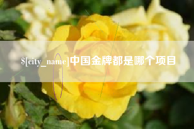 景德镇中国金牌都是哪个项目