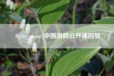 景德镇中国消防公开课回放