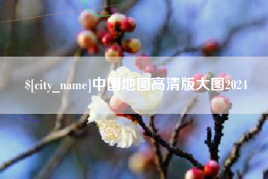景德镇中国地图高清版大图2024