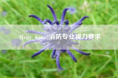 景德镇消防专业视力要求
