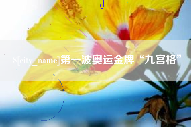 景德镇第一波奥运金牌“九宫格”