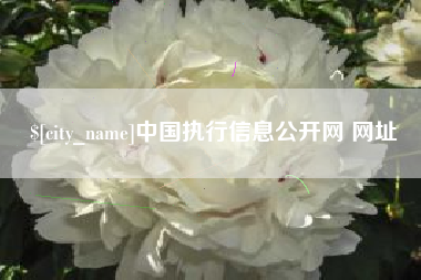 景德镇中国执行信息公开网 网址