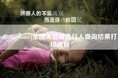 景德镇全国失信被执行人查询结果打印流程