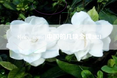 景德镇中国的几块金牌2021