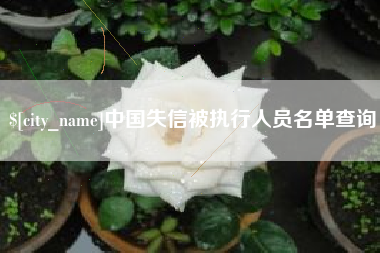 景德镇中国失信被执行人员名单查询
