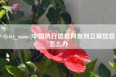 景德镇中国执行信息网查到立案信息怎么办