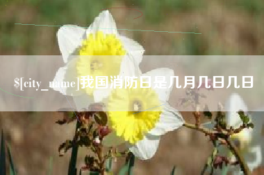 景德镇我国消防日是几月几日几日