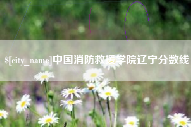 景德镇中国消防救援学院辽宁分数线