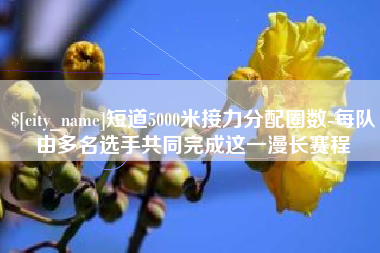 景德镇短道5000米接力分配圈数-每队由多名选手共同完成这一漫长赛程
