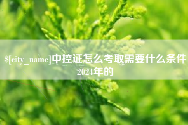 景德镇中控证怎么考取需要什么条件2024年的