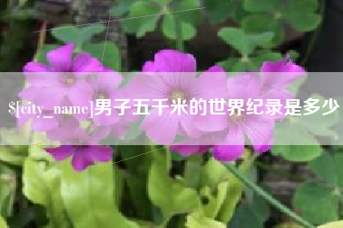 景德镇男子五千米的世界纪录是多少
