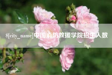景德镇中国消防救援学院招生人数