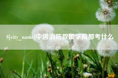 景德镇中国消防救援学院都考什么