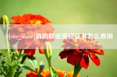 景德镇消防职业资格证书怎么查询