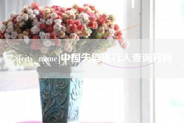 景德镇中国失信执行人查询官网