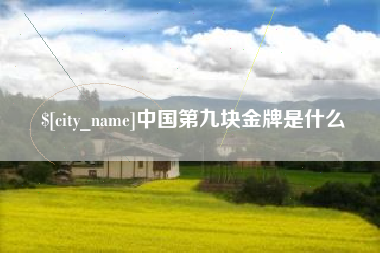 景德镇中国第九块金牌是什么