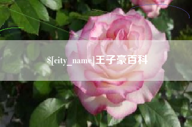 景德镇王子豪百科