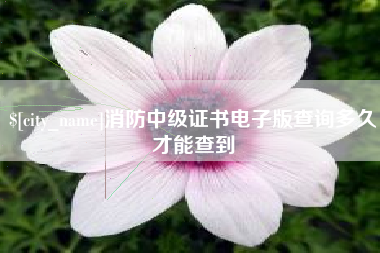 景德镇消防中级证书电子版查询多久才能查到