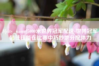 景德镇5000米世界冠军配速-世界冠军们往往能在比赛中巧妙地分配体力