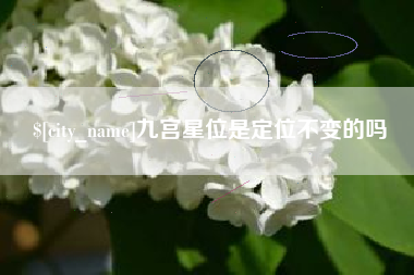 景德镇九宫星位是定位不变的吗