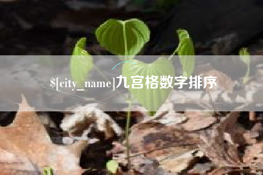 景德镇九宫格数字排序