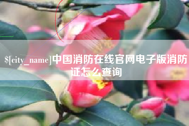 景德镇中国消防在线官网电子版消防证怎么查询