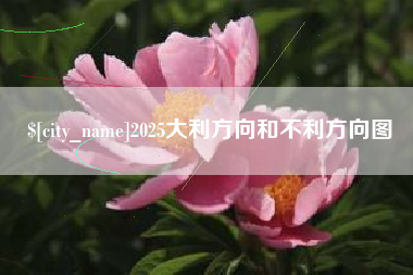 景德镇2025大利方向和不利方向图