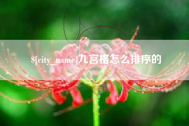 景德镇九宫格怎么排序的