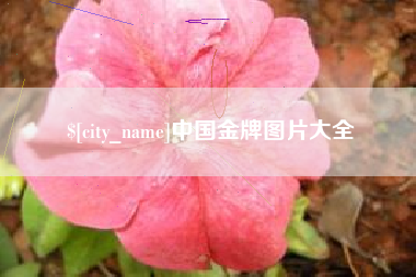 景德镇中国金牌图片大全