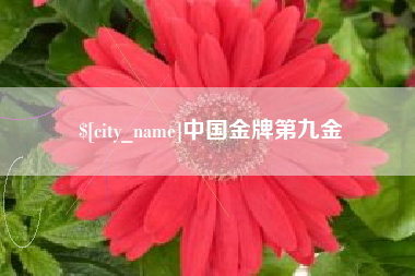 景德镇中国金牌第九金