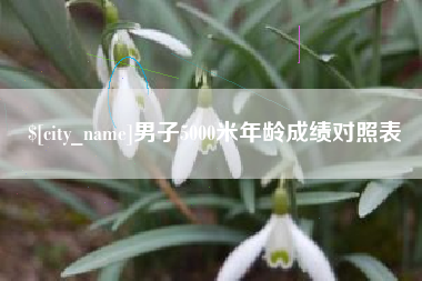 景德镇男子5000米年龄成绩对照表