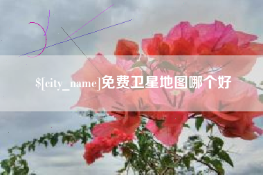 景德镇免费卫星地图哪个好