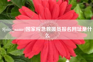 景德镇国家应急救援员报名网址是什么