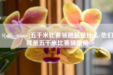 景德镇五千米比赛领跑员是什么-他们就是五千米比赛领跑员